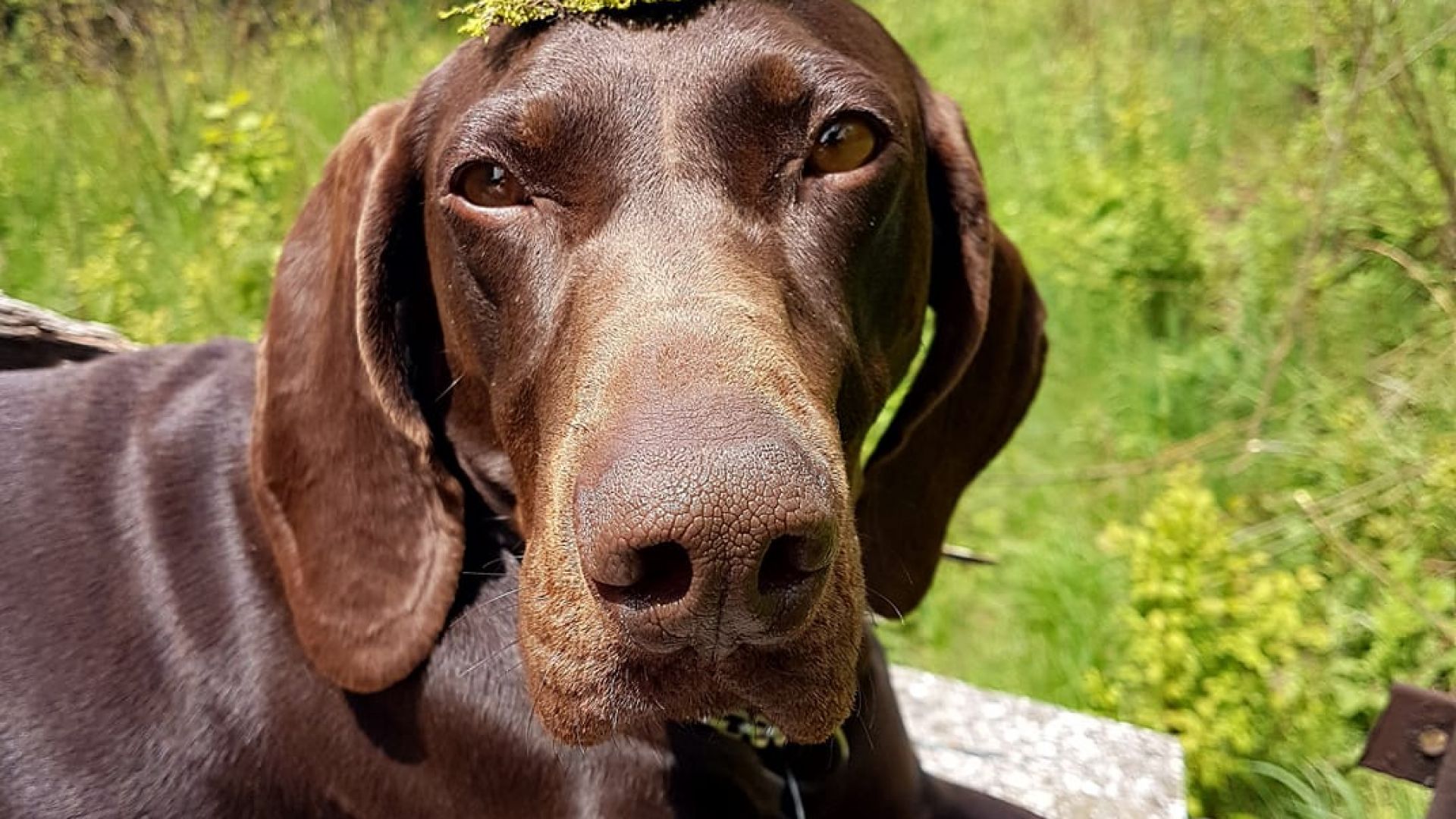 Повече от 15 дни рап изпълнителят Станислав Найденов Спенс и семейството