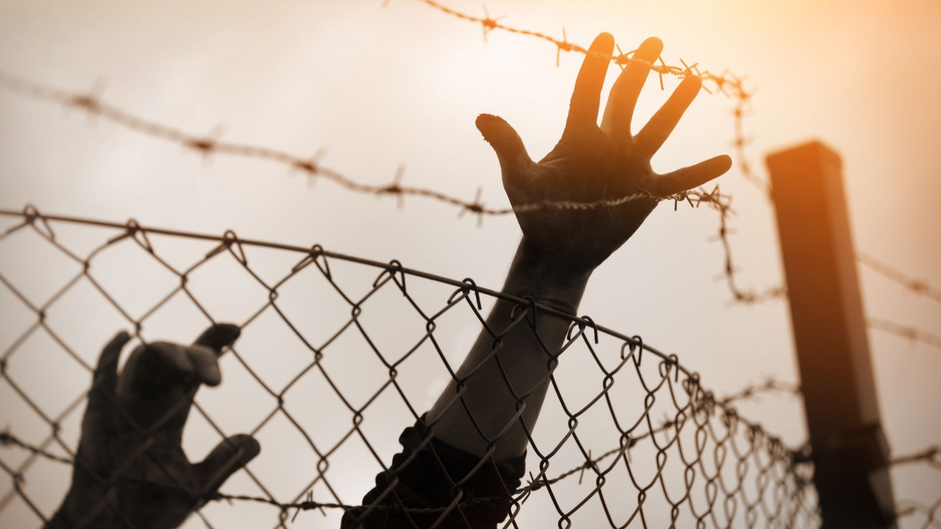 Убийците и крадците от Сърбия често работят в Хърватия защото