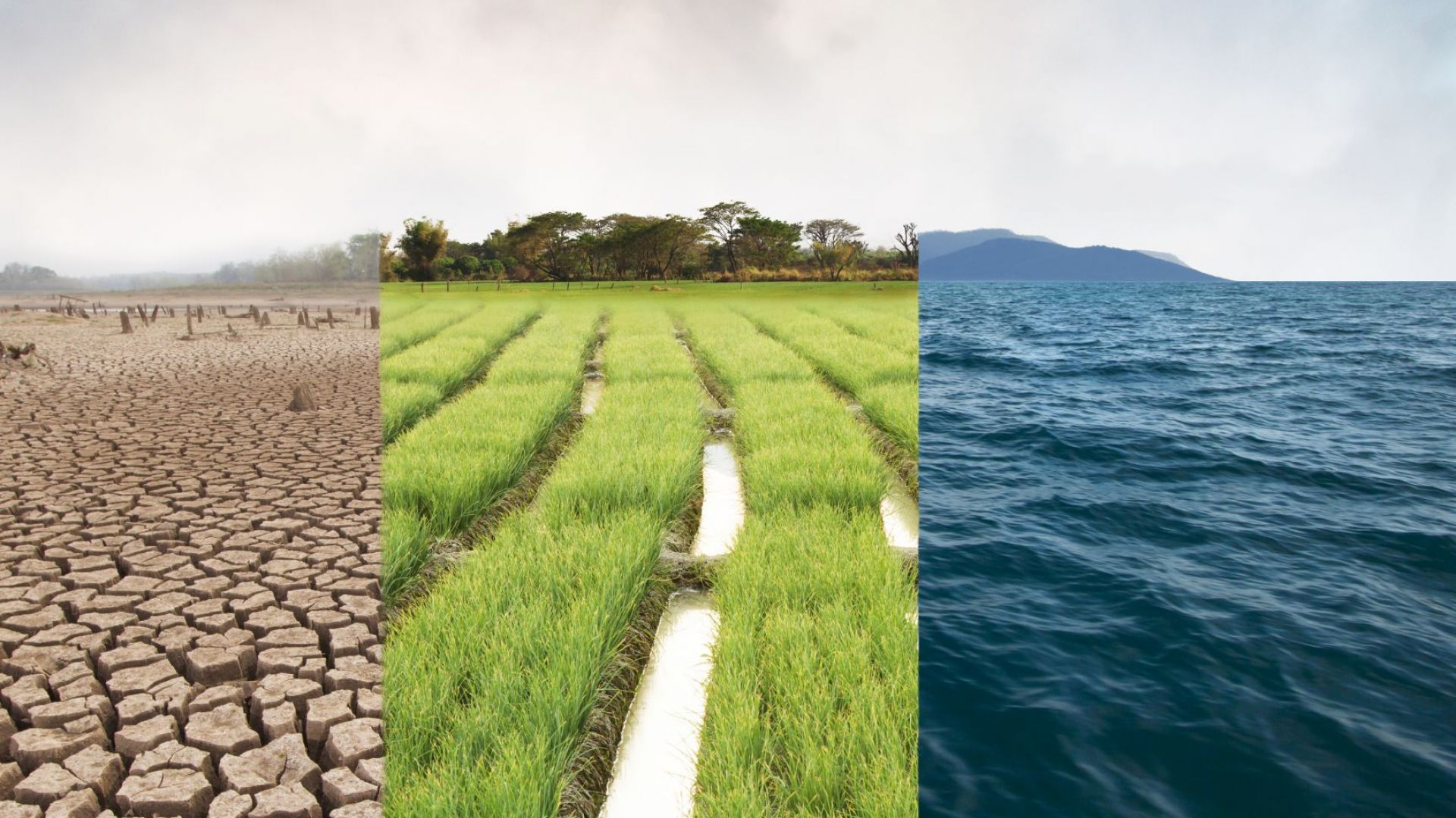 Екологичната криза дава карт бланш на всички пророци на апокалипсиса