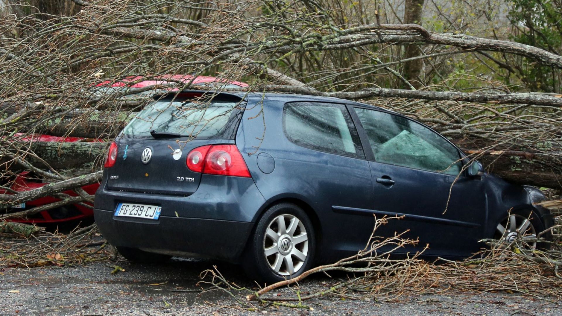 Силна буря в Югозападна Франция изкорени дървета, уби шофьор (снимки)