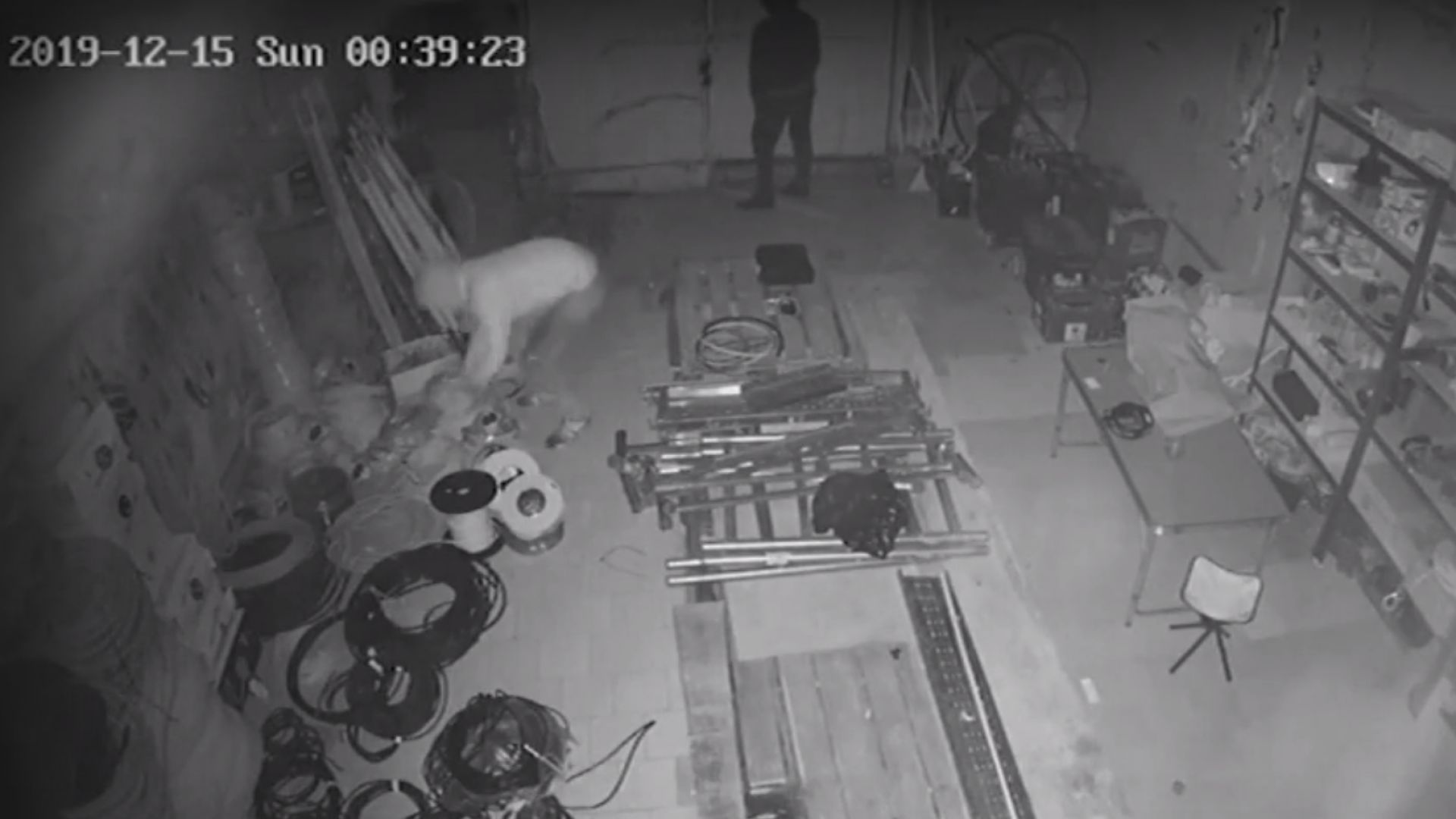 Крадци са задигнали кабели на стойност над 4 000 лв