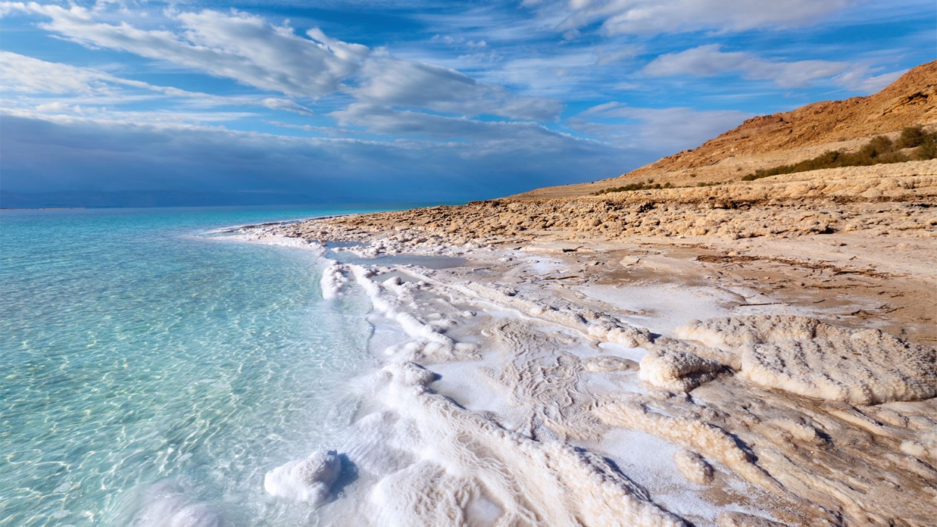 Кои организми могат да оцелеят в Мъртво море?