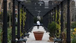 Кралските градини във Венеция оживяха след наводнението (галерия)