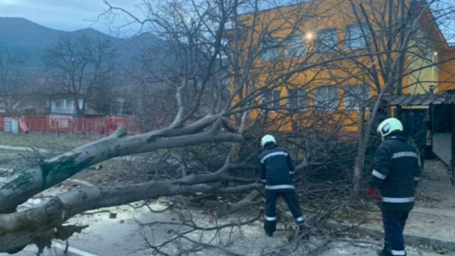 394 души са загубили живота си в Европа през 2019