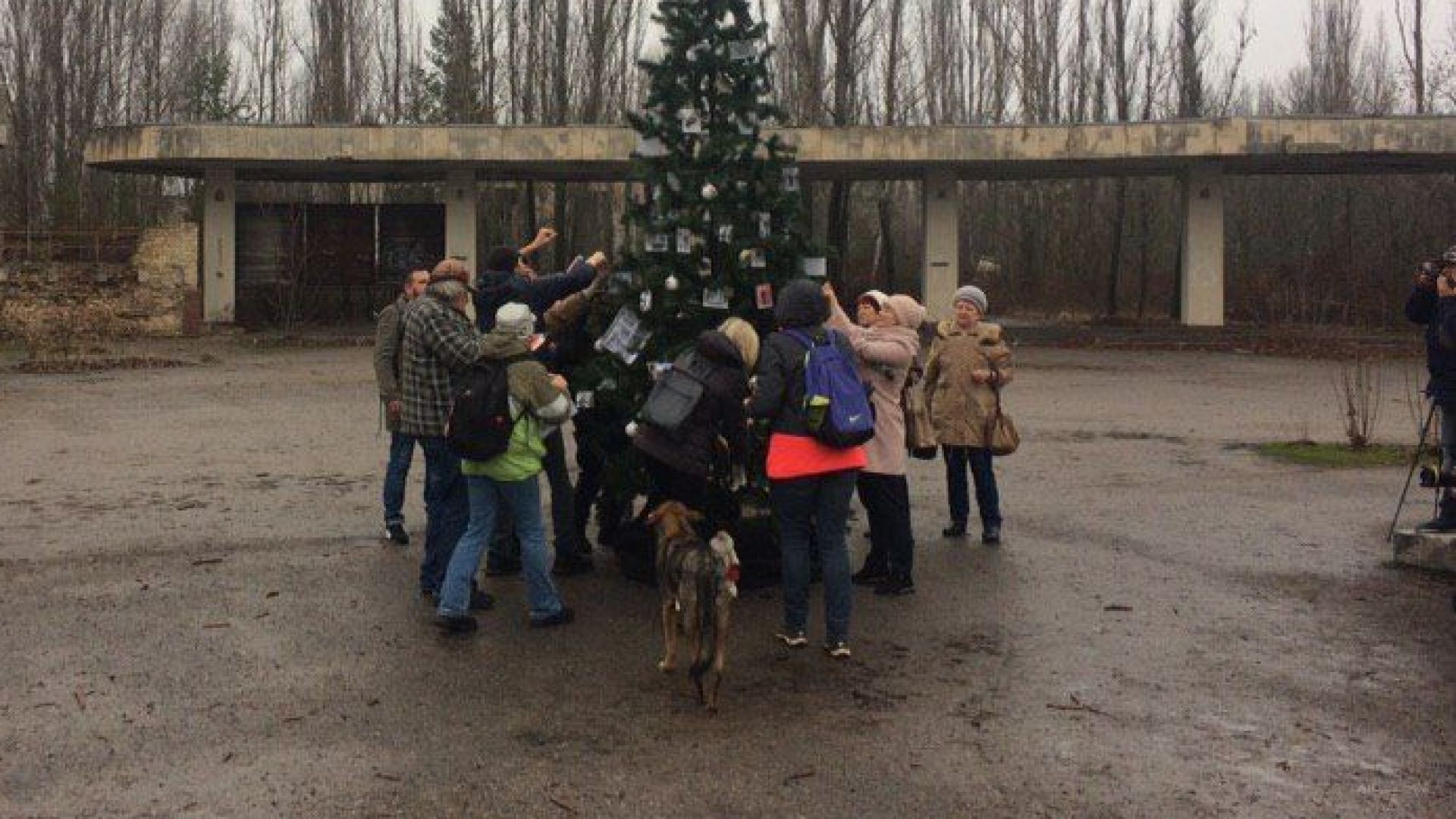 Новогодишна елха бе украсена в центъра на изоставения град Припят