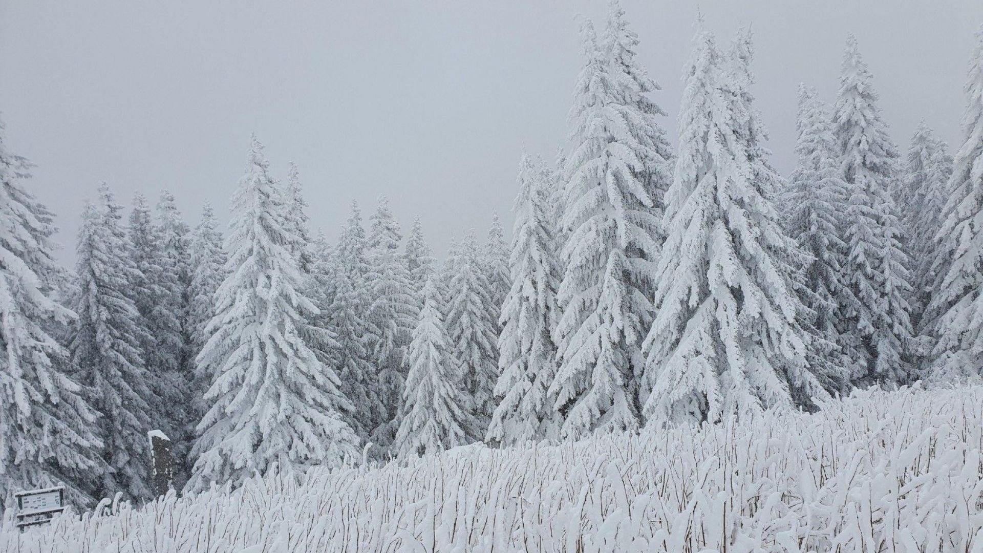 Сняг вали в няколко области на страната Пътните настилки са