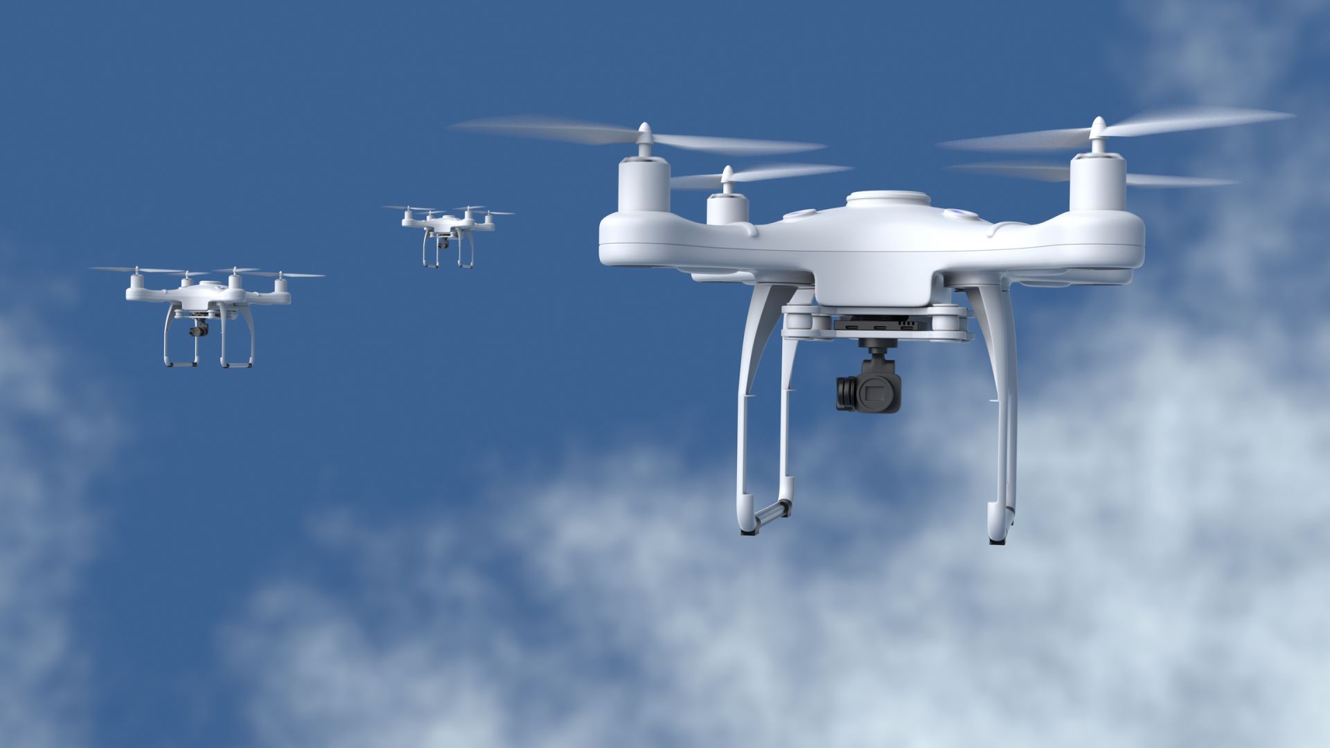 Властите в белгийския град Брюж са решили тази нощ Новата