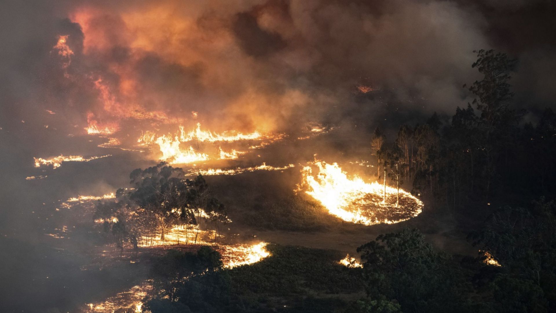 Кораб от австралийския боен флот пристигна днес в крайбрежния град