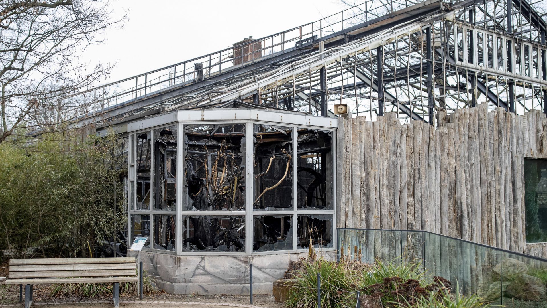 Три жени се разследват по подозрение че на Нова година