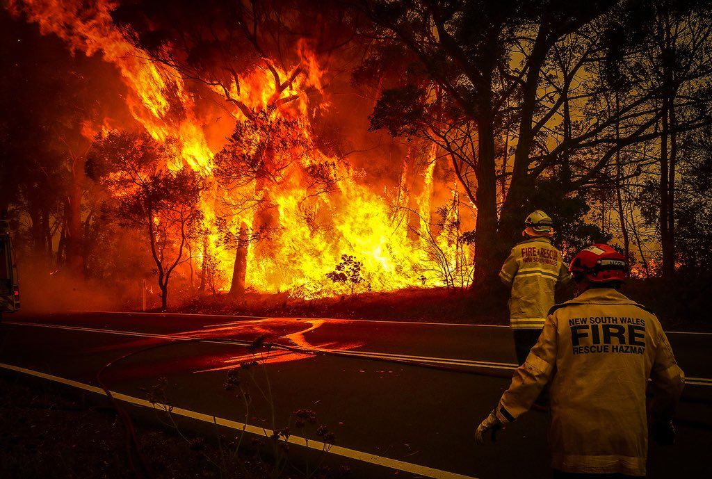 *240 дни* са продължили *пожарите* в Южна Австралия