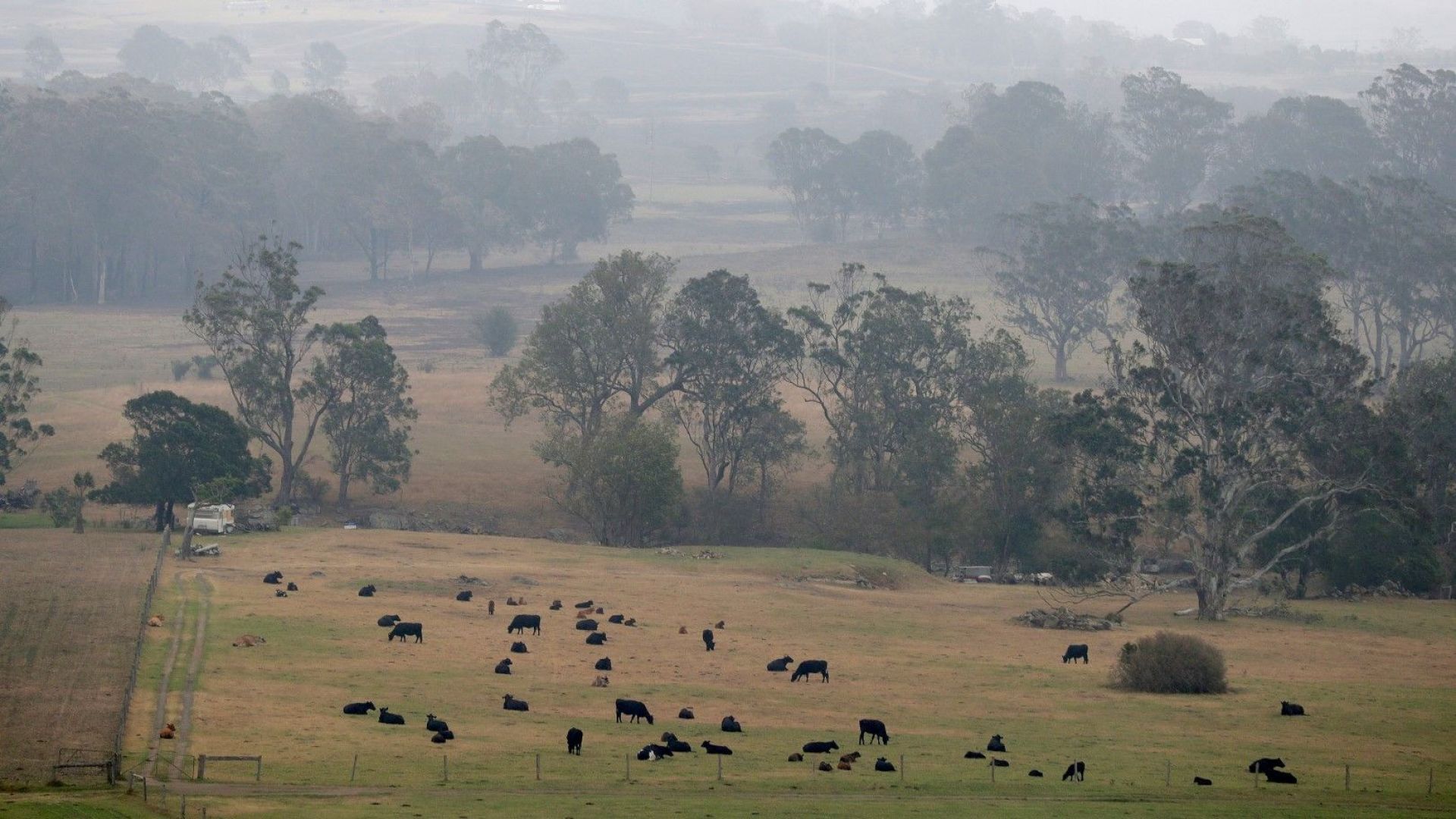 В цял свят трескаво се плетат стотици защитни одеяла къщички