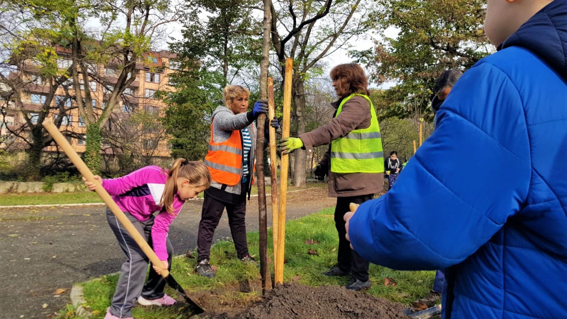 Община Бургас започва масово засаждане на дървета в града като