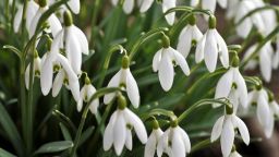 Необичайно спокойно за месец март време, с много слънце, но студени утрини през седмицата