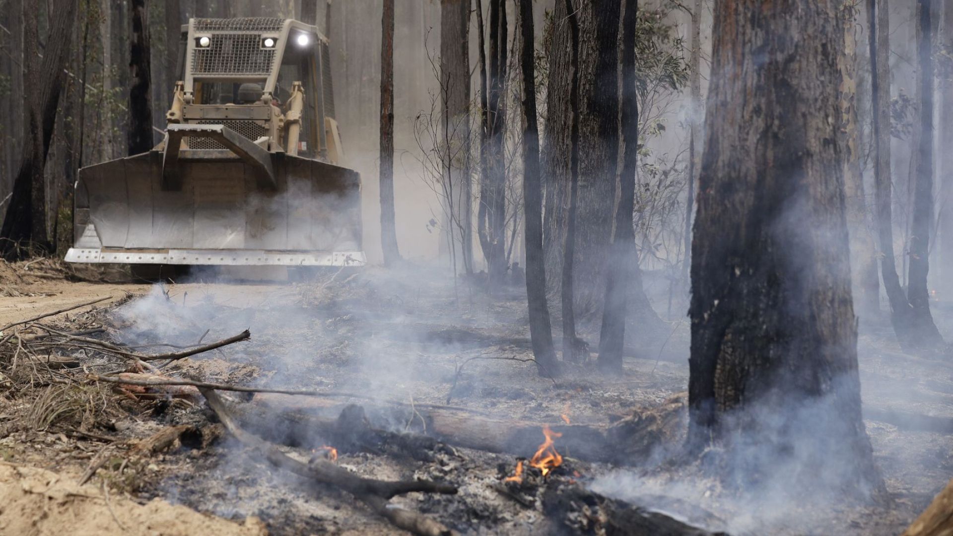 Територията която е изгоряла досега е 50 хиляди квадратни километра