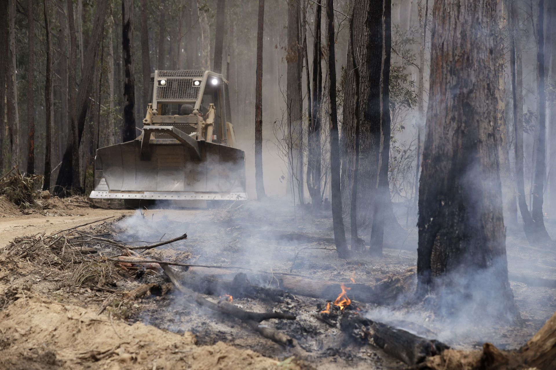 Преките загуби от пожарите в Австралия могат да достигнат 3,5 милиарда долара