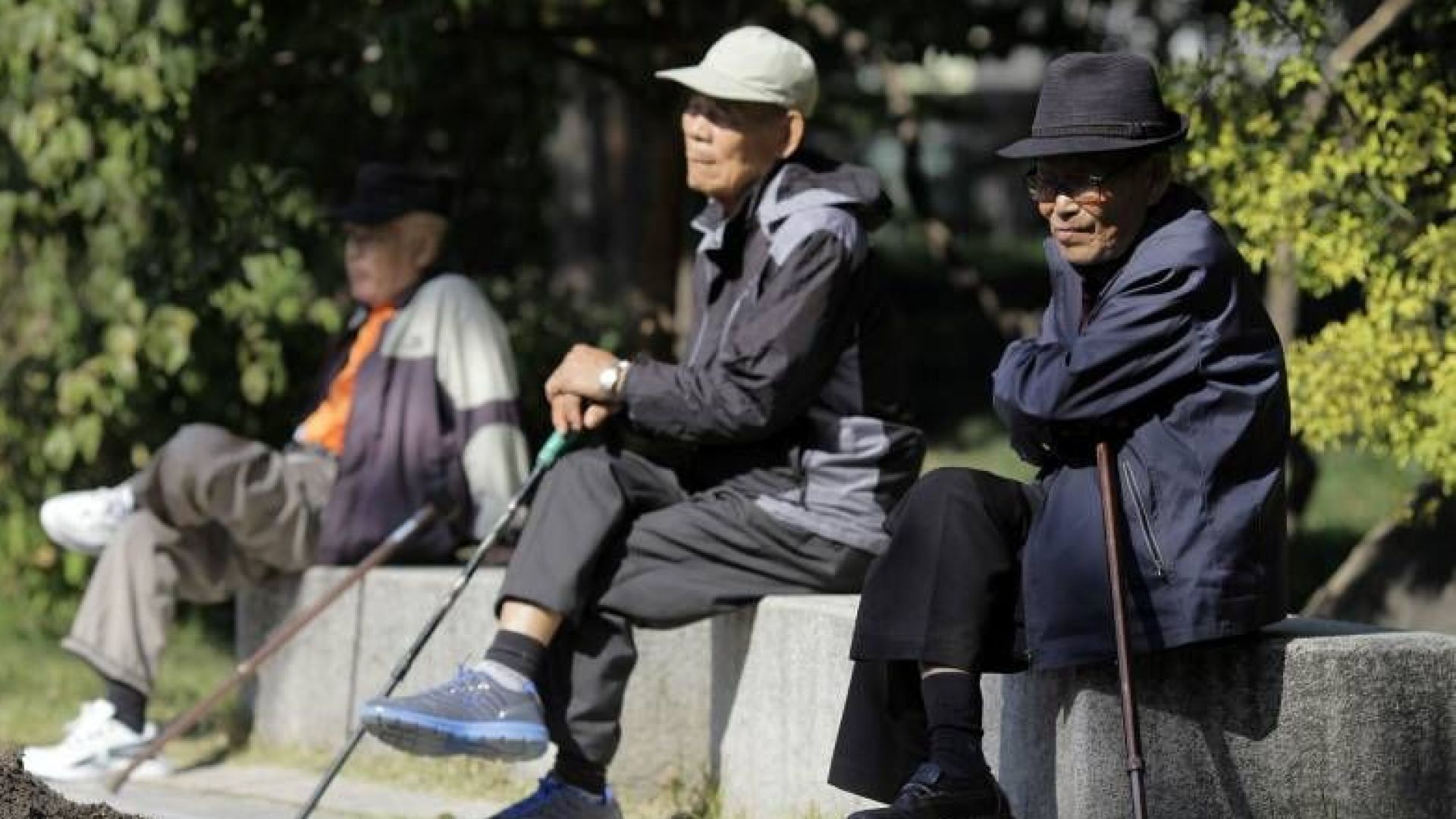 Седемдесет и три хиляди южнокорейски водачи на МПС на възраст