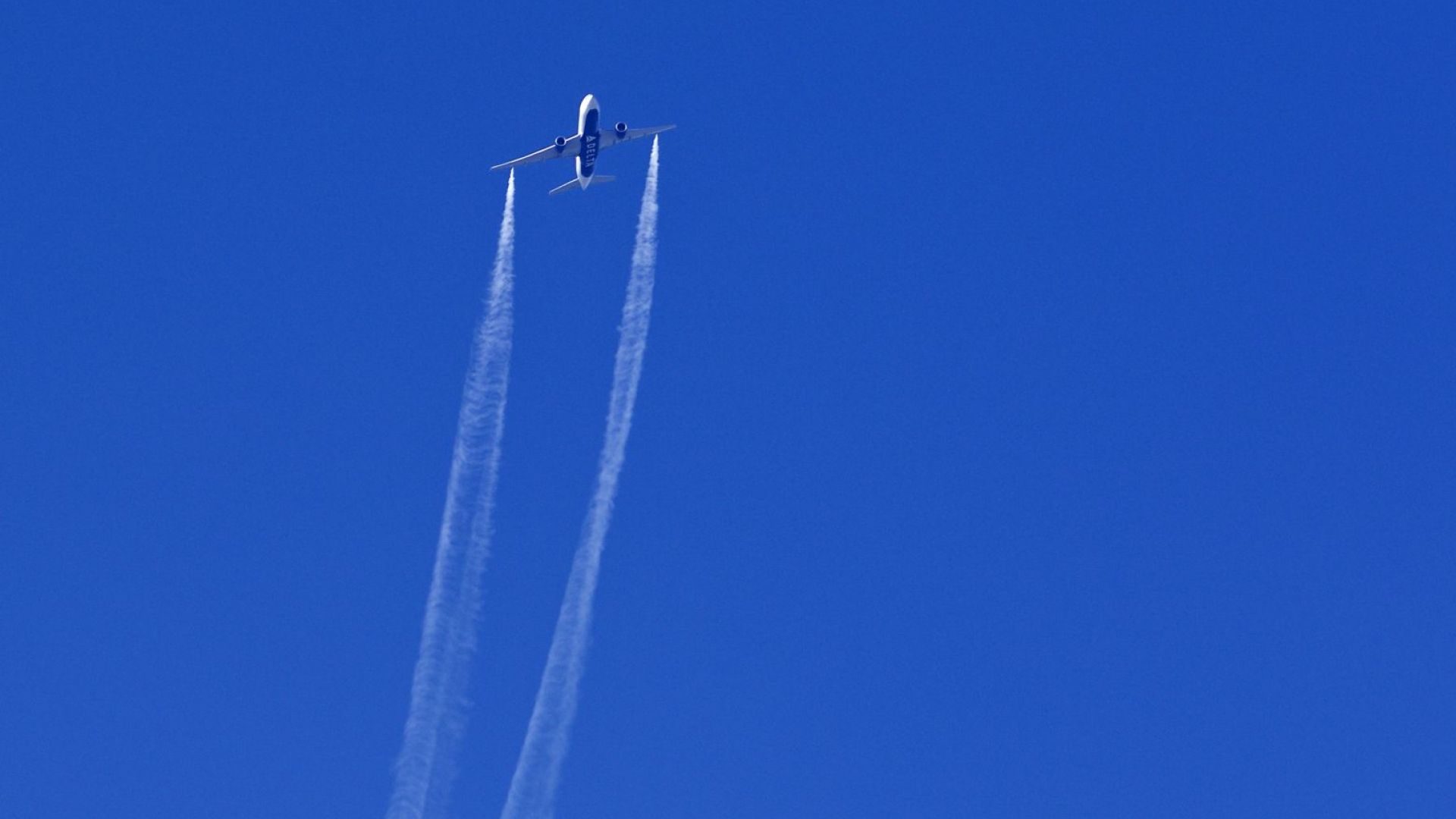 Поне 60 души много от които деца пострадаха като получиха