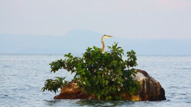 Два индонезийски острова изчезнаха под водата