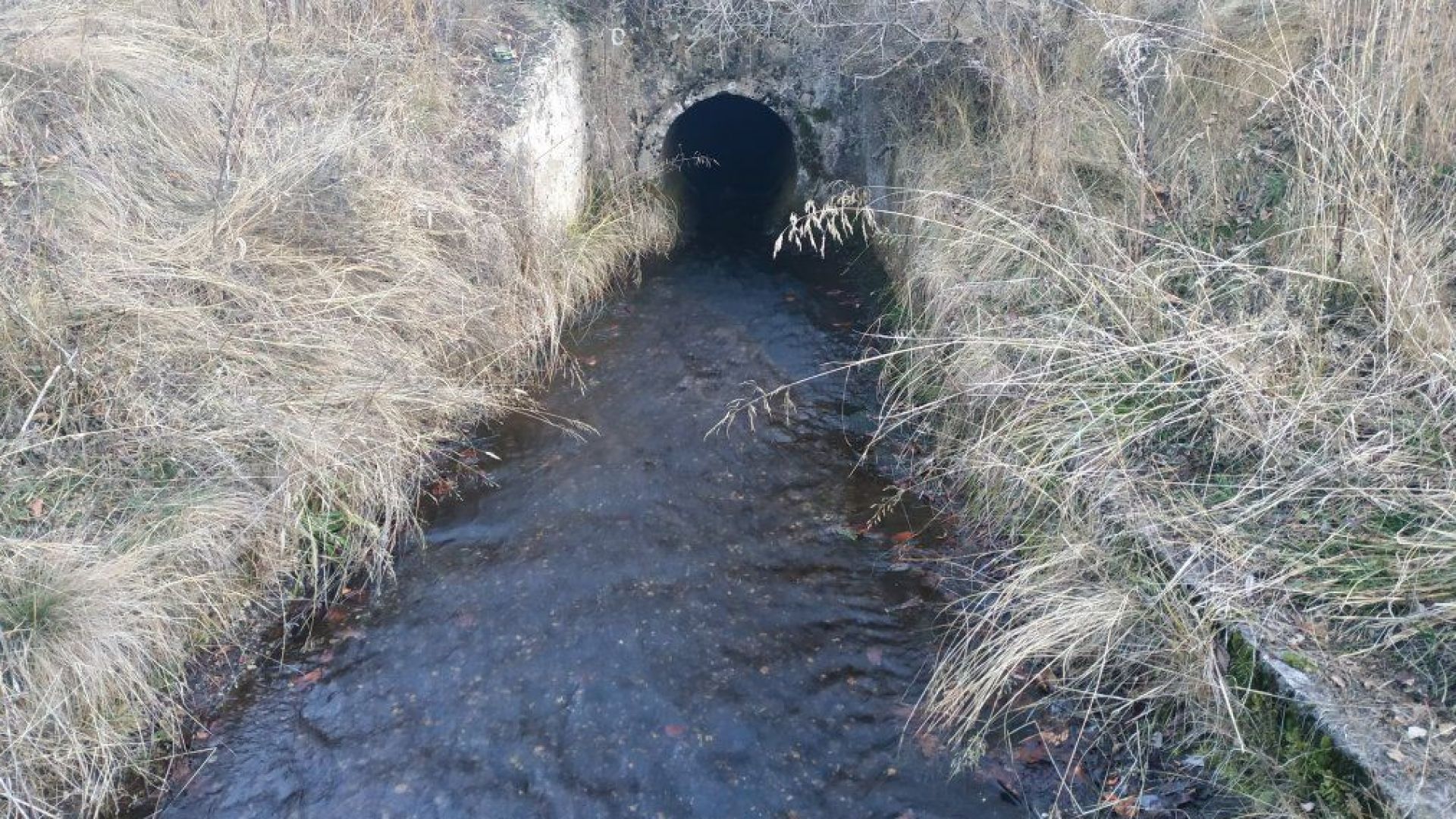 Под наблюдението на Районна прокуратура Самоков се води разследване