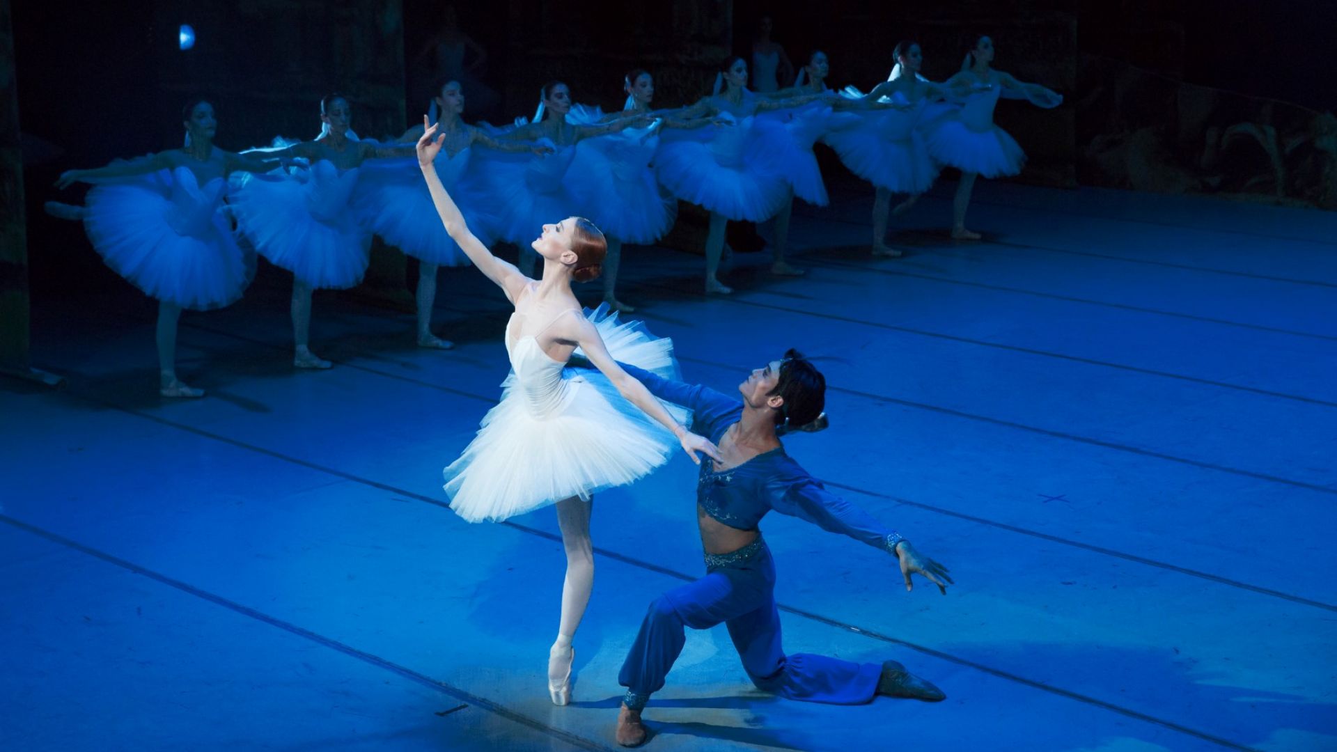 Три от най новите заглавия в афиша си ще излъчи в