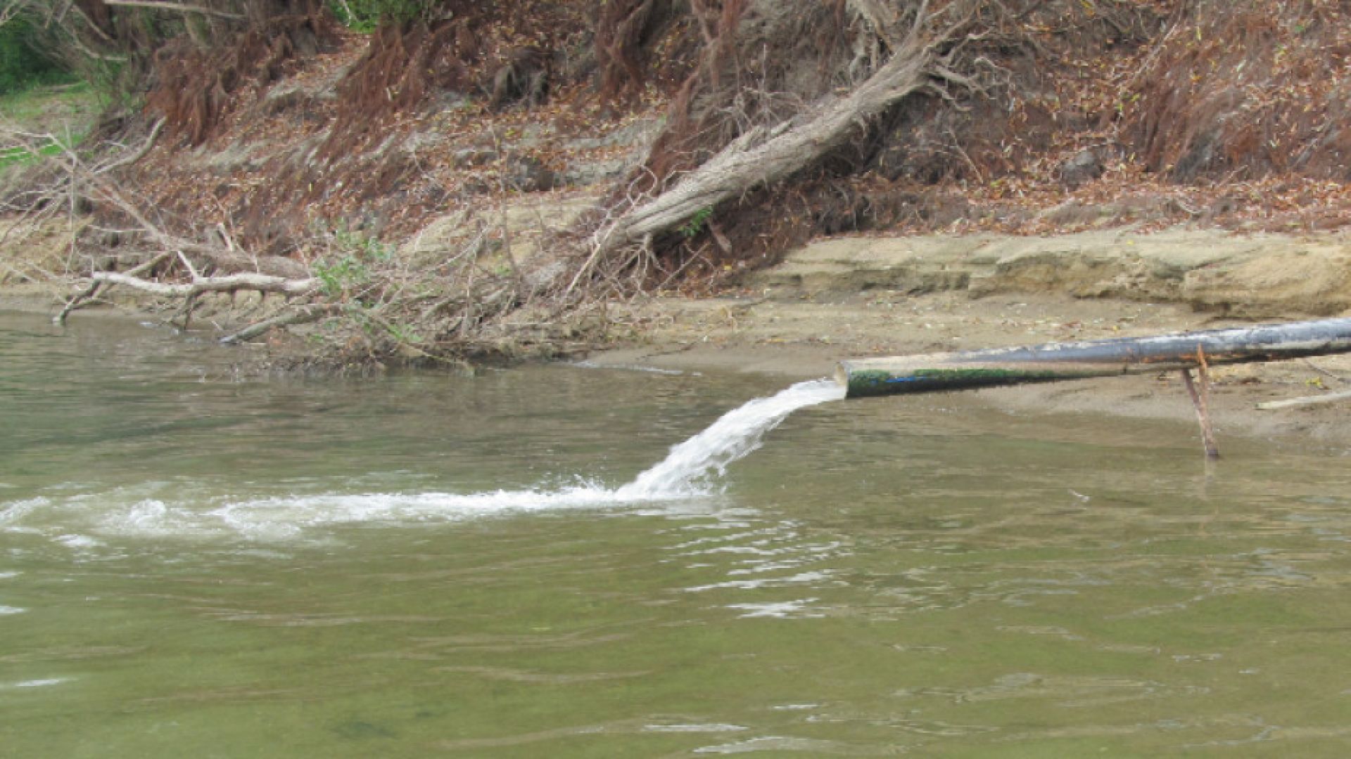 Полиция и прокуратура влязоха в завода за хартия в Никопол