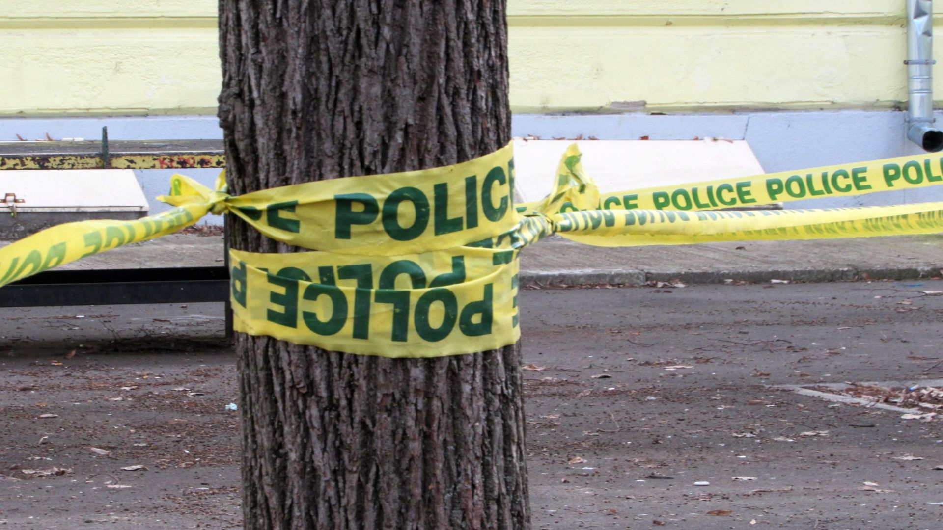 15 годишният ученик от русенската Английска гимназия която загина тази сутрин