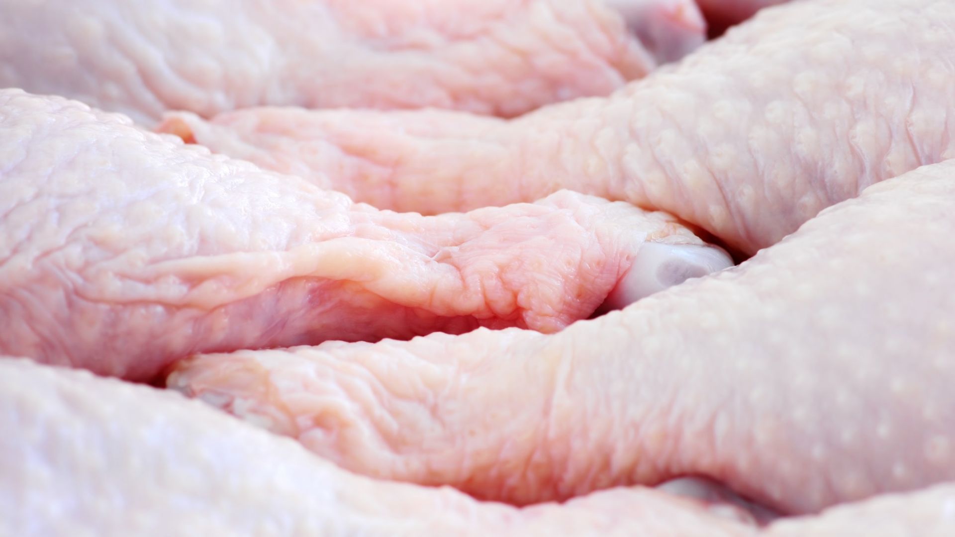 Унищожават 10 тона пилешко месо от Полша заради салмонела