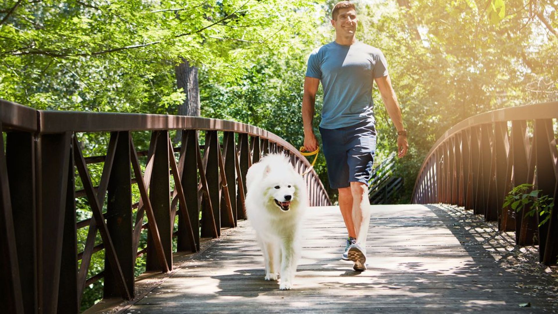 Дъвчене на дъвки и разходки с куче за здраво сърце