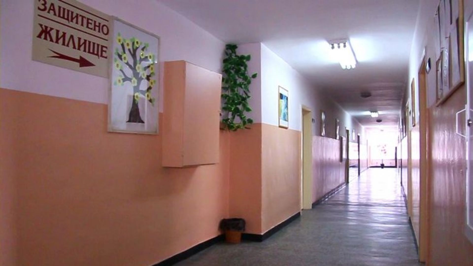 Освободиха двама болногледачи в центъра за хора с деменция в Пловдив