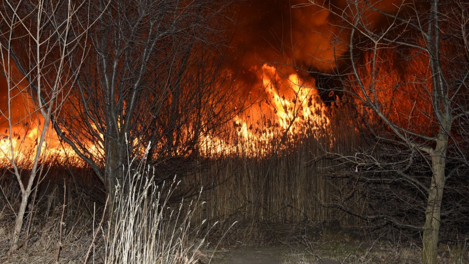 Голям горски пожар се разраства на територията на Сърбия на