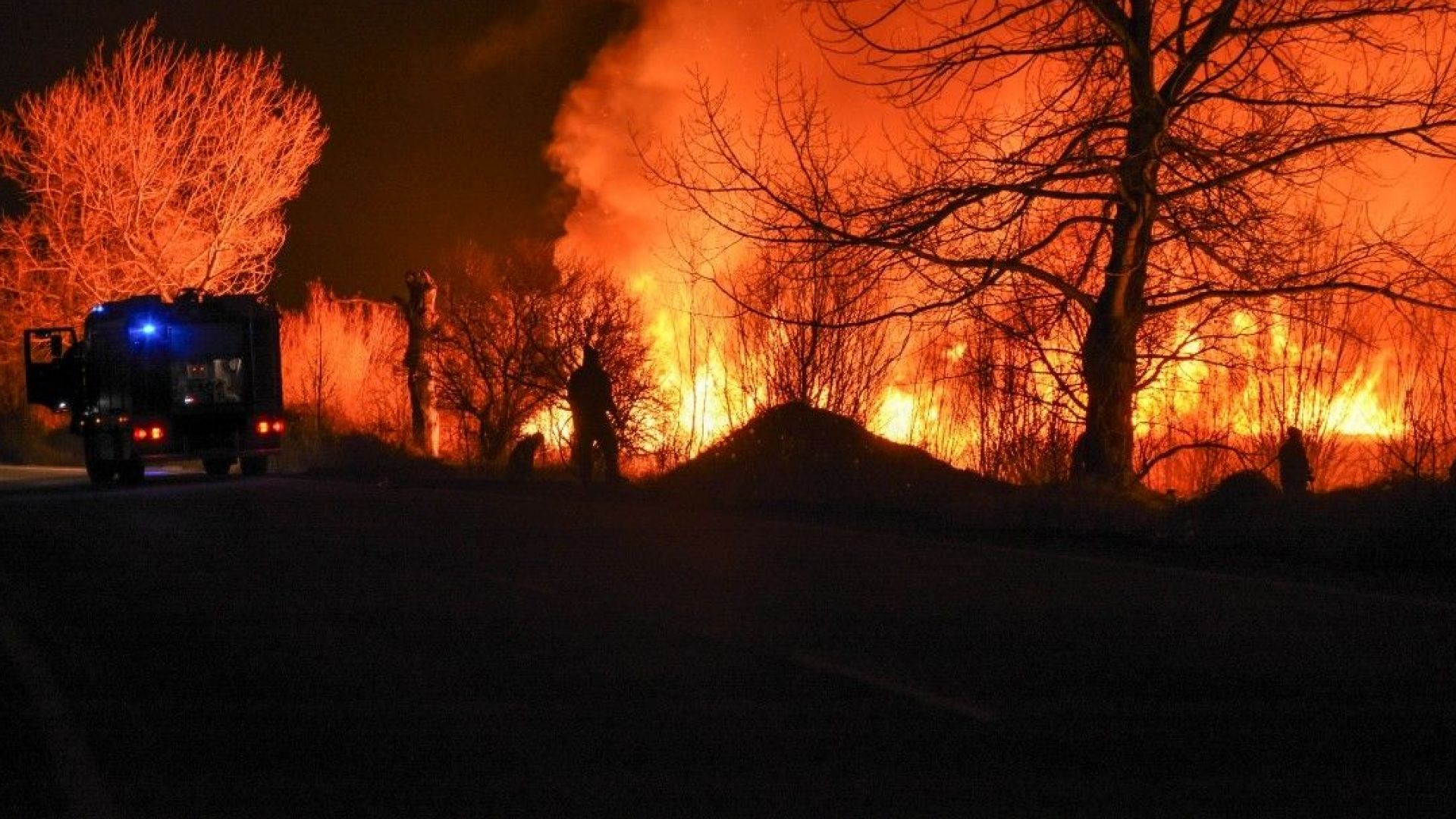 Голям пожар горя край Драгоманското блато (снимки, видео)