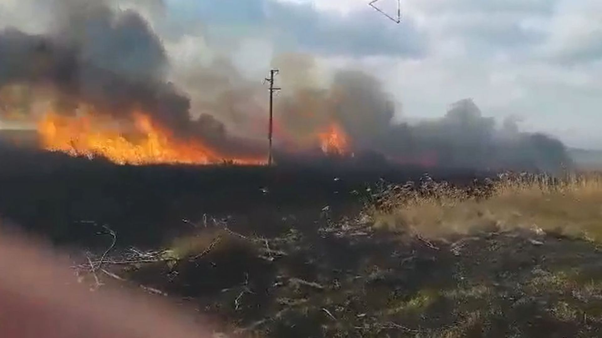 Пожар бушува в защитената местност Дуранкулашко езеро съобщават от Българското