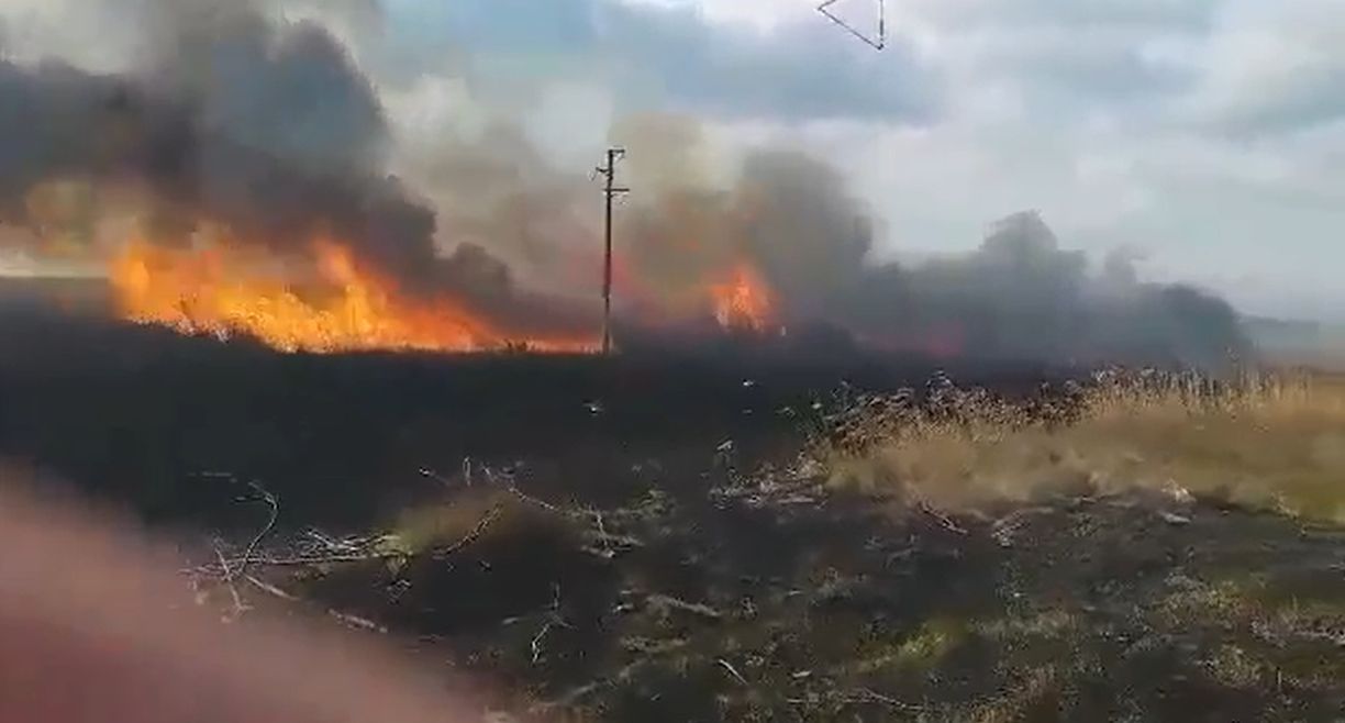 Прокуратурата разследва пожарите в защитена местност „Дуранкулашко езеро“