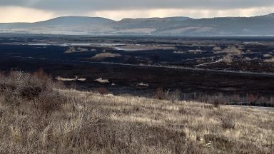 Над 80% от територията на Драгоманското блато е засегната от пожара 