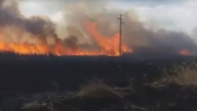 Овладян е пожарът в Орловото блато