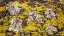 Исландия в  охра, зелено и жълто и море от спокойствие