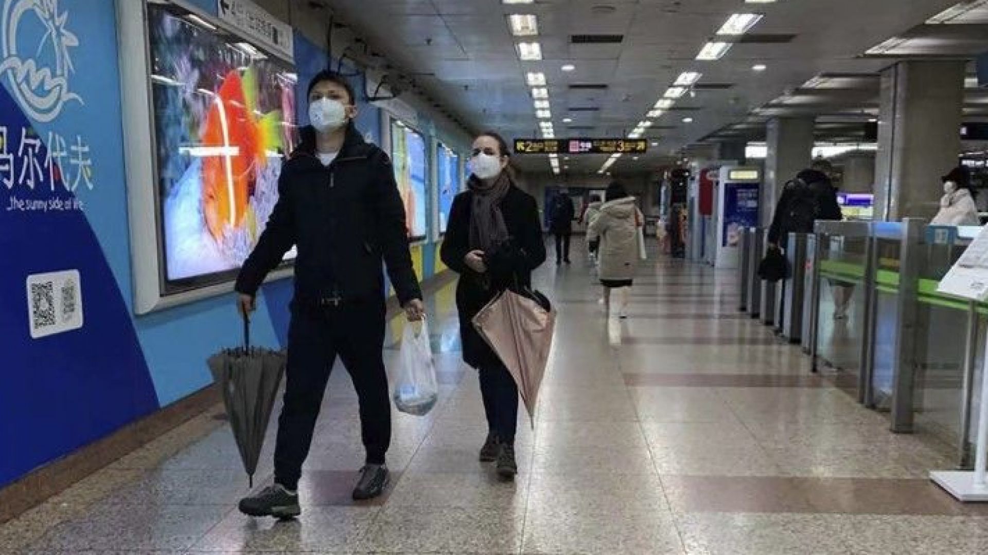 Властите в Китай забраниха временно търговията с диви животни в