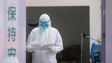 Световната здравна организация СЗО каза че екип от международни експерти