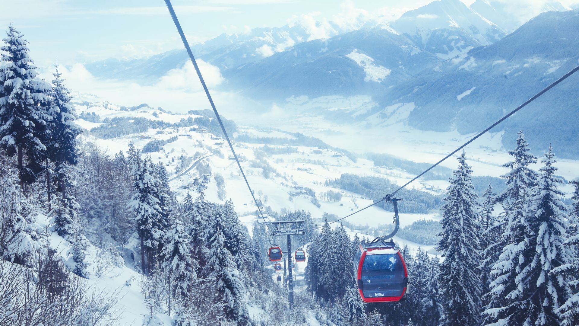 Бурен вятър събори дърво върху работещ кабинков лифт в западната