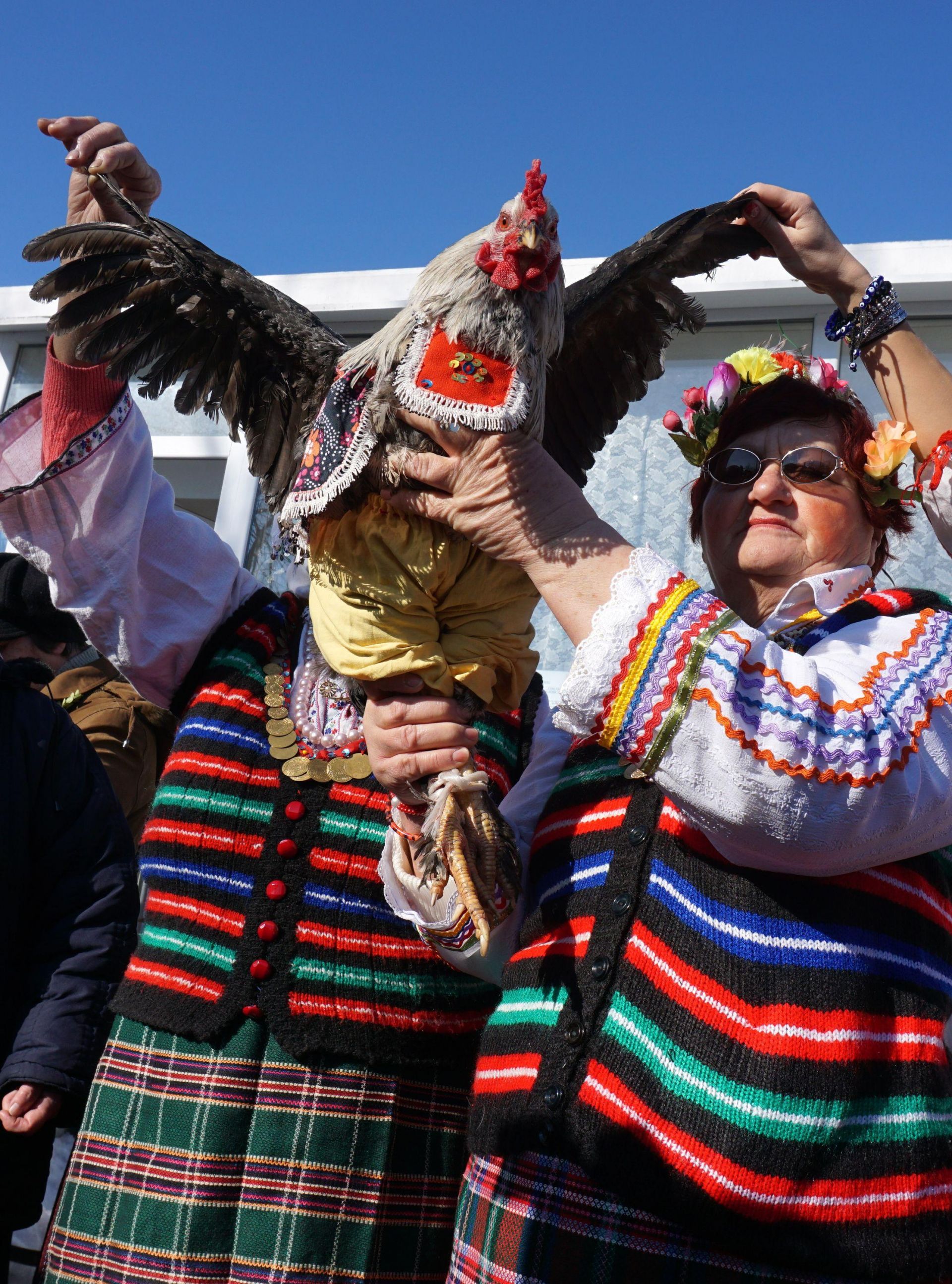 Във варненските села Голица, Кривини, Солник, Добри дол, Козичино в България са запазили традициите и отбелязват автентично празника на  мъжките рожби "Петльовден".