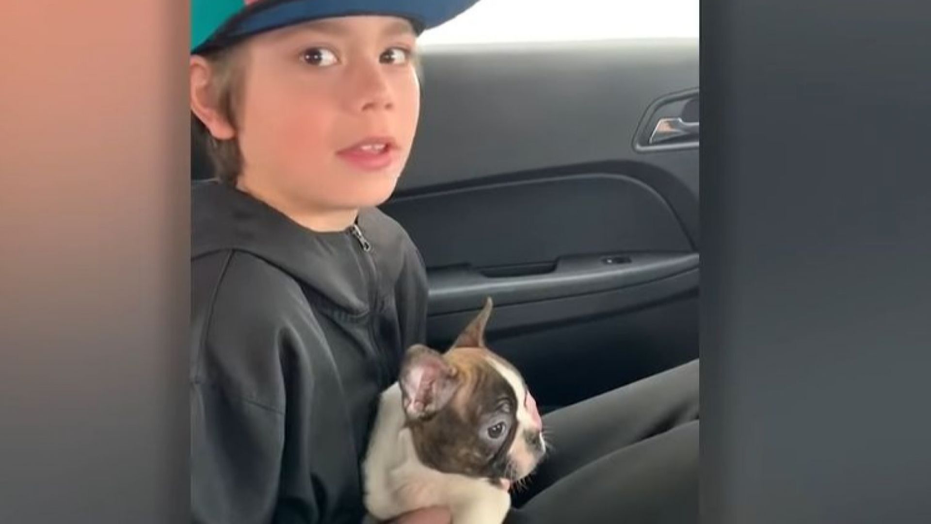 Момченце получи подарък куче от... починалия си баща (видео)