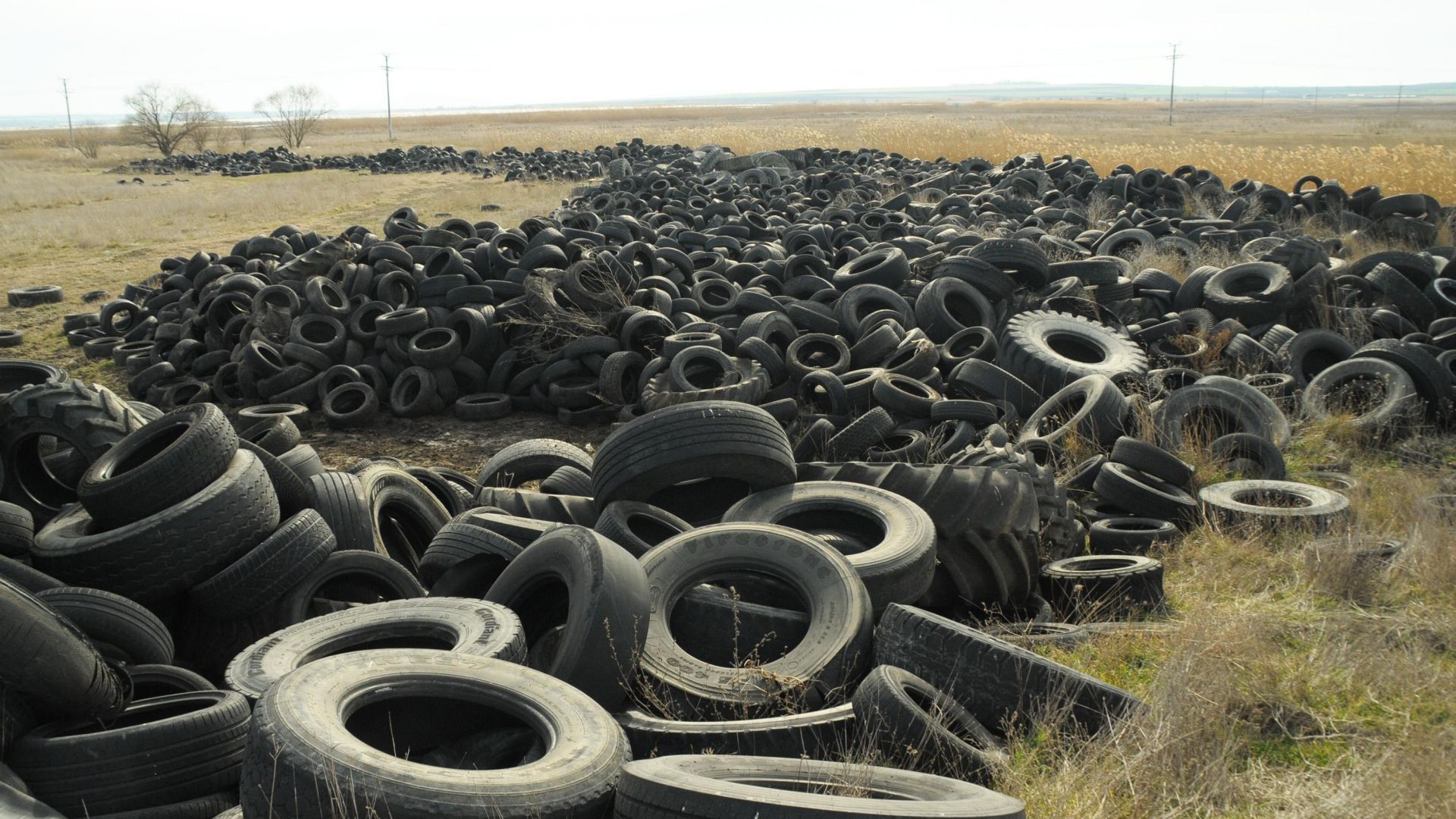 Орнитолози откриха огромно незаконно сметище за гуми (снимки)