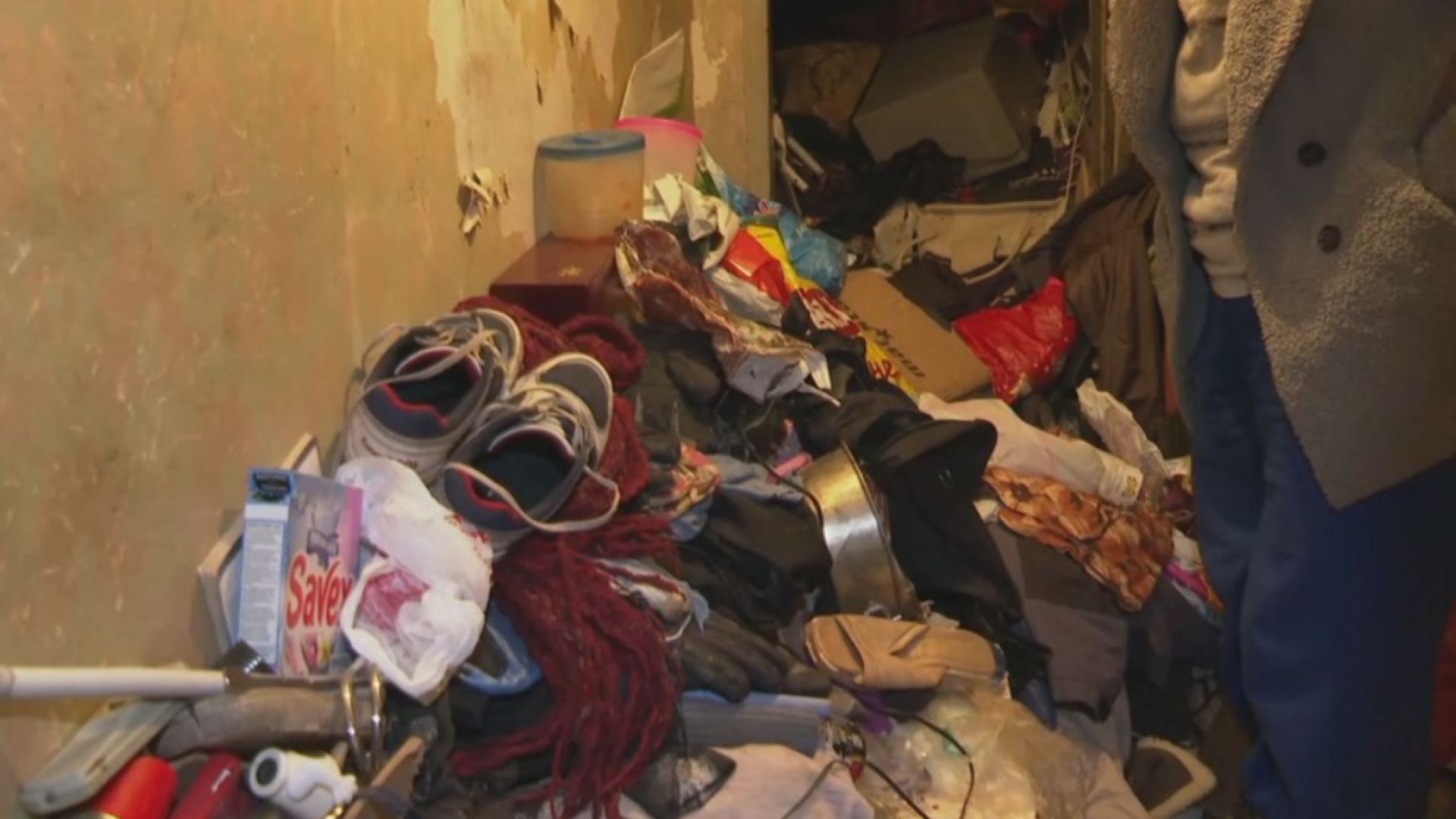 Плъхове и хлебарки са плъзнали в блок на пловдивската улица