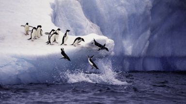 Антарктическият леден шелф се топи по-бързо от очакваното