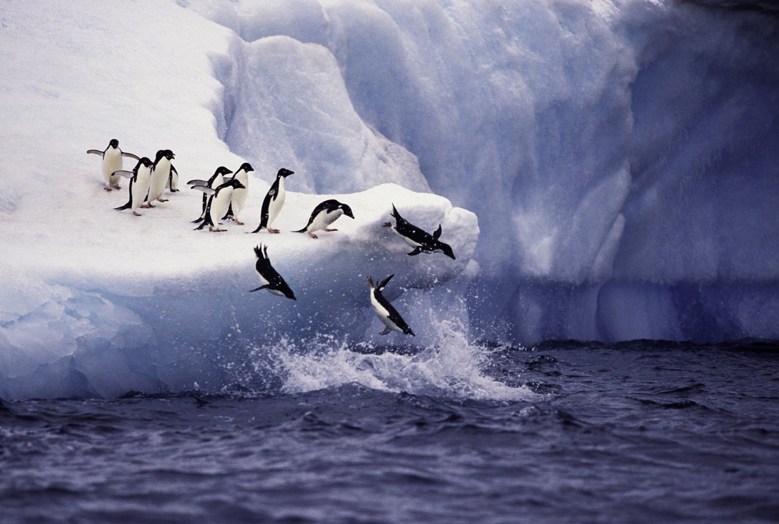 антарктическият леден шелф е загубил 12 трилиона тона маса от 1997 година