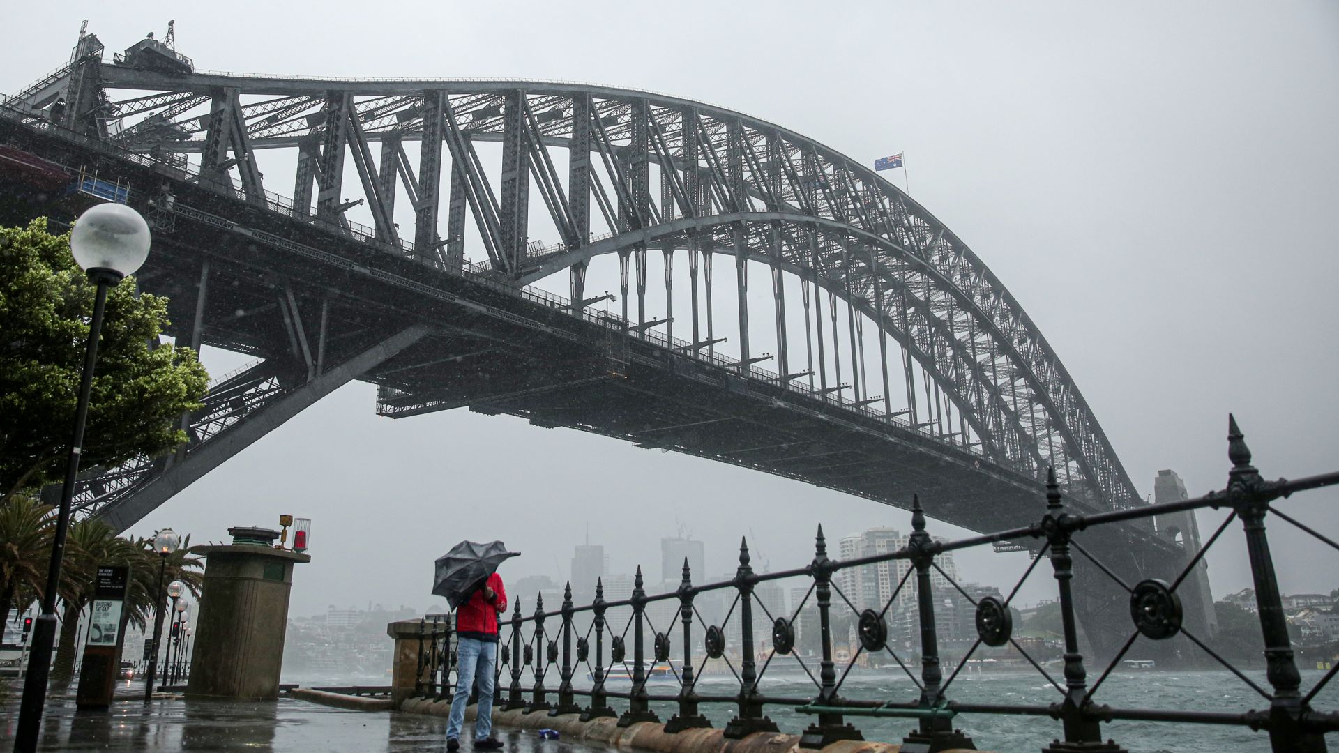 Светът никога не беше виждал нищо подобно Повече от 5