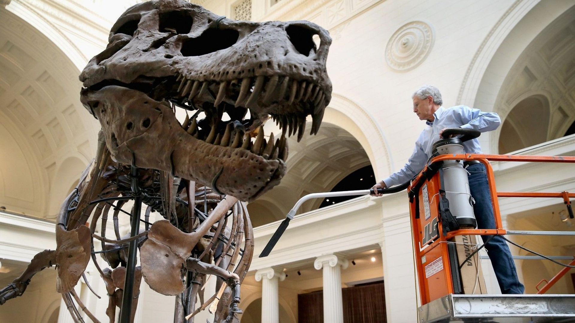 Останки на нов вид тиранозавър бяха открити в Канада съобщи