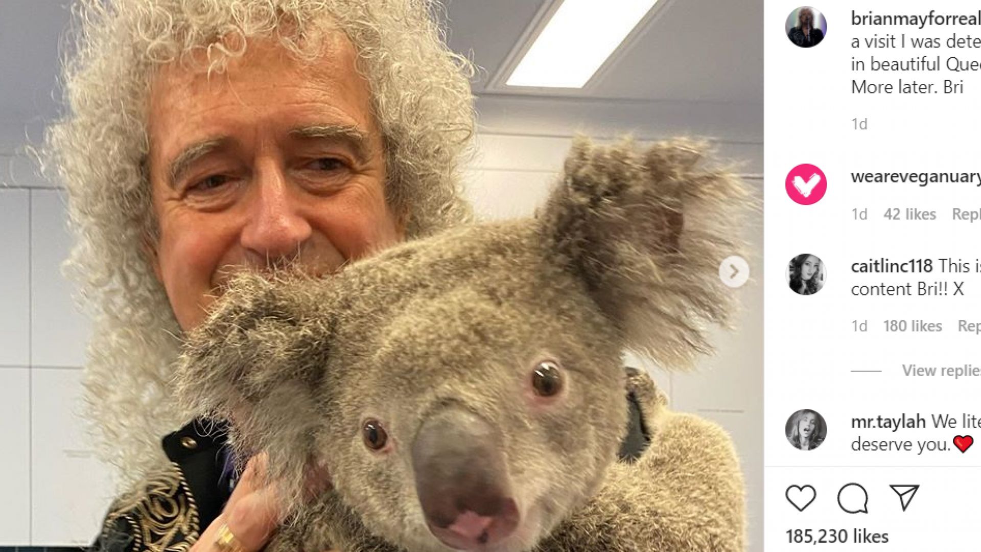 Брайън Мей свири за коала, оцеляла при пожарите в Австралия (видео)
