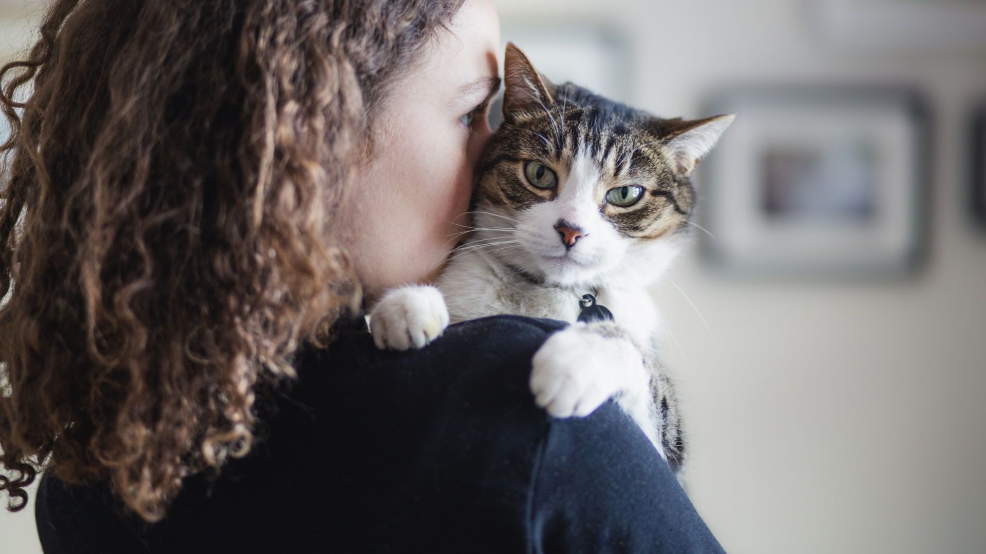 Шест признака, по които разбираме колко ни обича котката