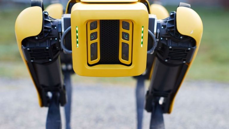Кучета роботи следят за спазването на дистанция в сингапурски паркове